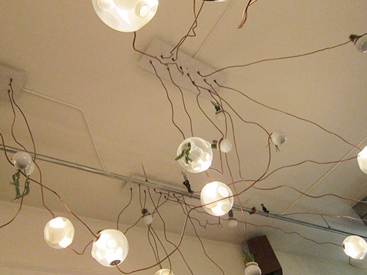 Tacofino's celings are adorned with a collection of wildly organic custom bulb lighting overhead.